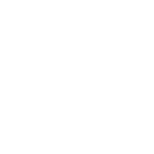 Salomon