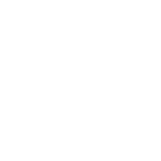 Citi Trends