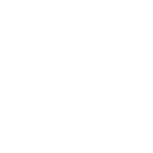 Altra Running