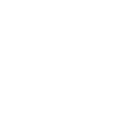 The Frye Company