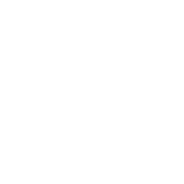 Maje