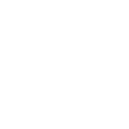 Ride Concepts