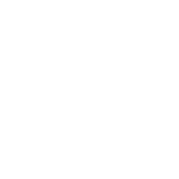 Instyler