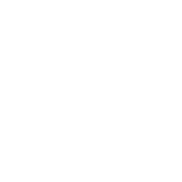 American Eagle