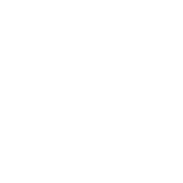 Marissa Collections
