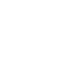 Max Bone