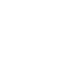 Spirit Halloween