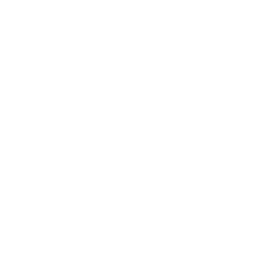 Udemy
