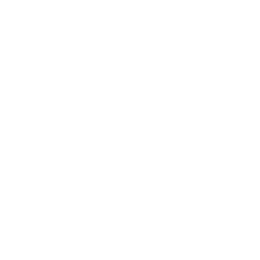 Beginning Boutique