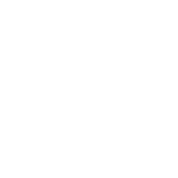 Stitch Fix