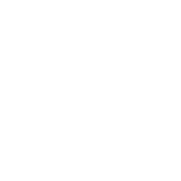Everlast