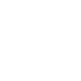 Aimé Leon Dore