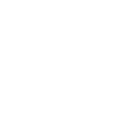 Ace Hardware