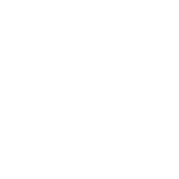 Noize
