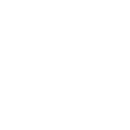 LiveAuctioneers