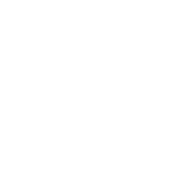 Overstock