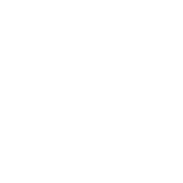 The Honest Company