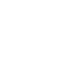 MoMA Design Store