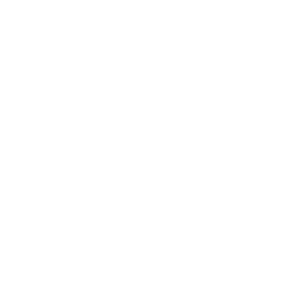 STAUD