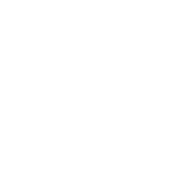The Children's Place