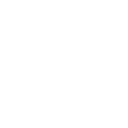 Blundstone