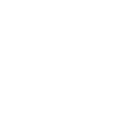 Adrianna Papell