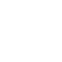 Micro Kickboard