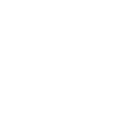 MR PORTER