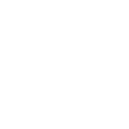 One Kings Lane