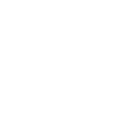 Salone Monet