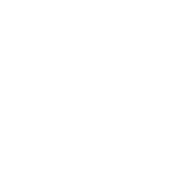 Theory