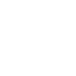Magnetics SL