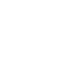 Maidenform