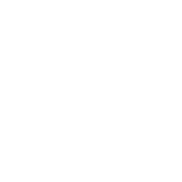 Vince Camuto