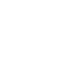 Finish Line