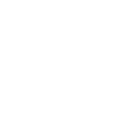 ABC Carpet & Home
