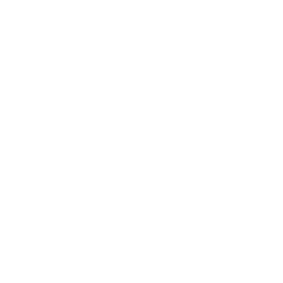Mansur Gavriel