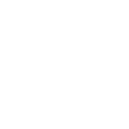 BCBGeneration