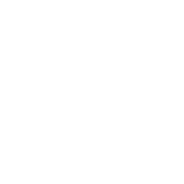 Autonomous