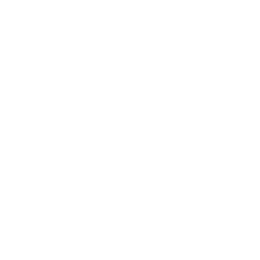 Boost Mobile