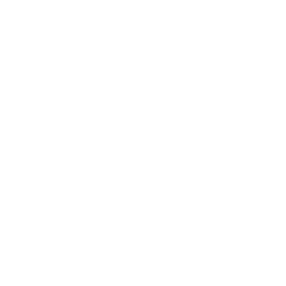 Maniere De Voir