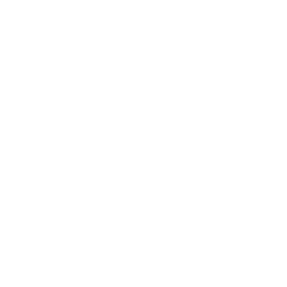 BOGS