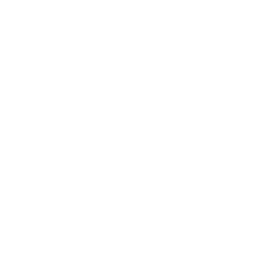 AllSaints
