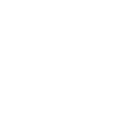 Sperry Top-Sider