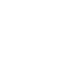 SSENSE