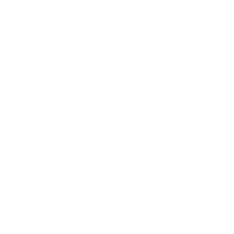Morphe