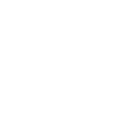 Mother Denim