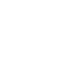 Rebellious Fashion