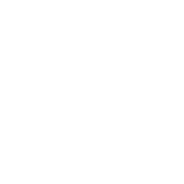 Rosetta Stone
