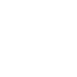 Torrid